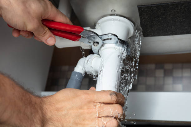 Best Mold removal after water damage  in Norlina, NC