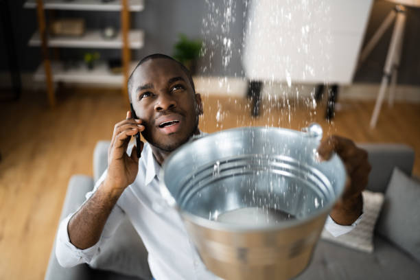 Best Carpet water damage restoration  in Norlina, NC