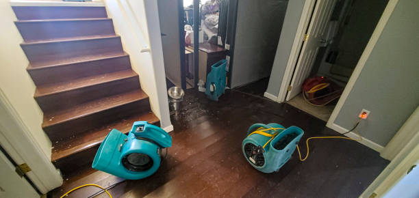 Best Residential water damage restoration  in Norlina, NC