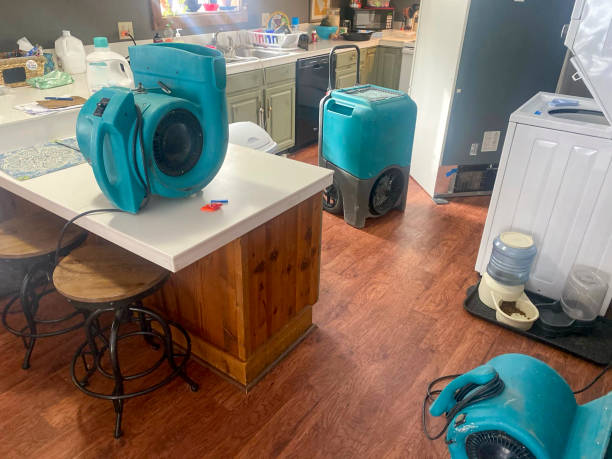 Best Professional water damage repair  in Norlina, NC