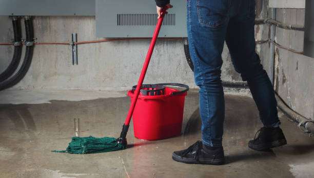Best Flood damage cleanup  in Norlina, NC