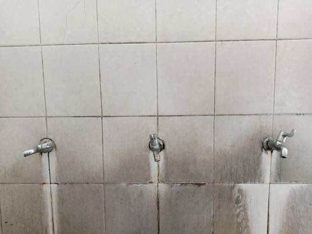 Best Flood restoration services  in Norlina, NC