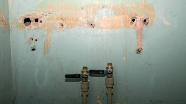 Professional Water damage restoration in Norlina, NC