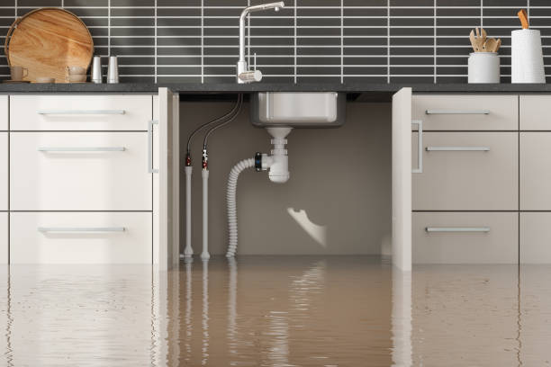 Best Fire Damage Restoration  in Norlina, NC