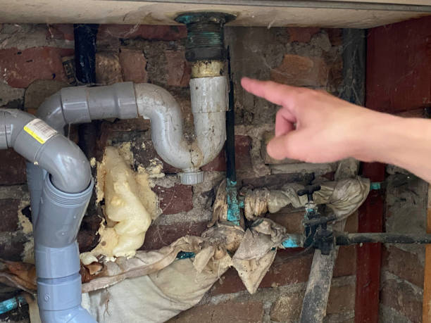 Sewage cleanup and water damage restoration in Norlina, NC