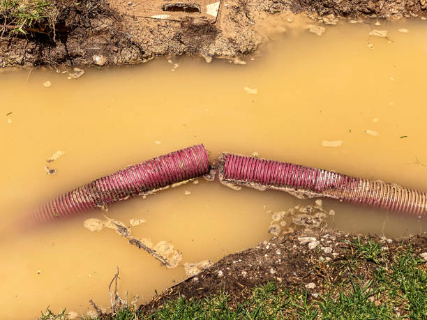 Professional Water damage restoration in Norlina, NC