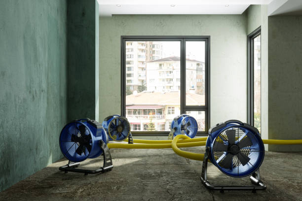 Best 24-hour water damage restoration  in Norlina, NC